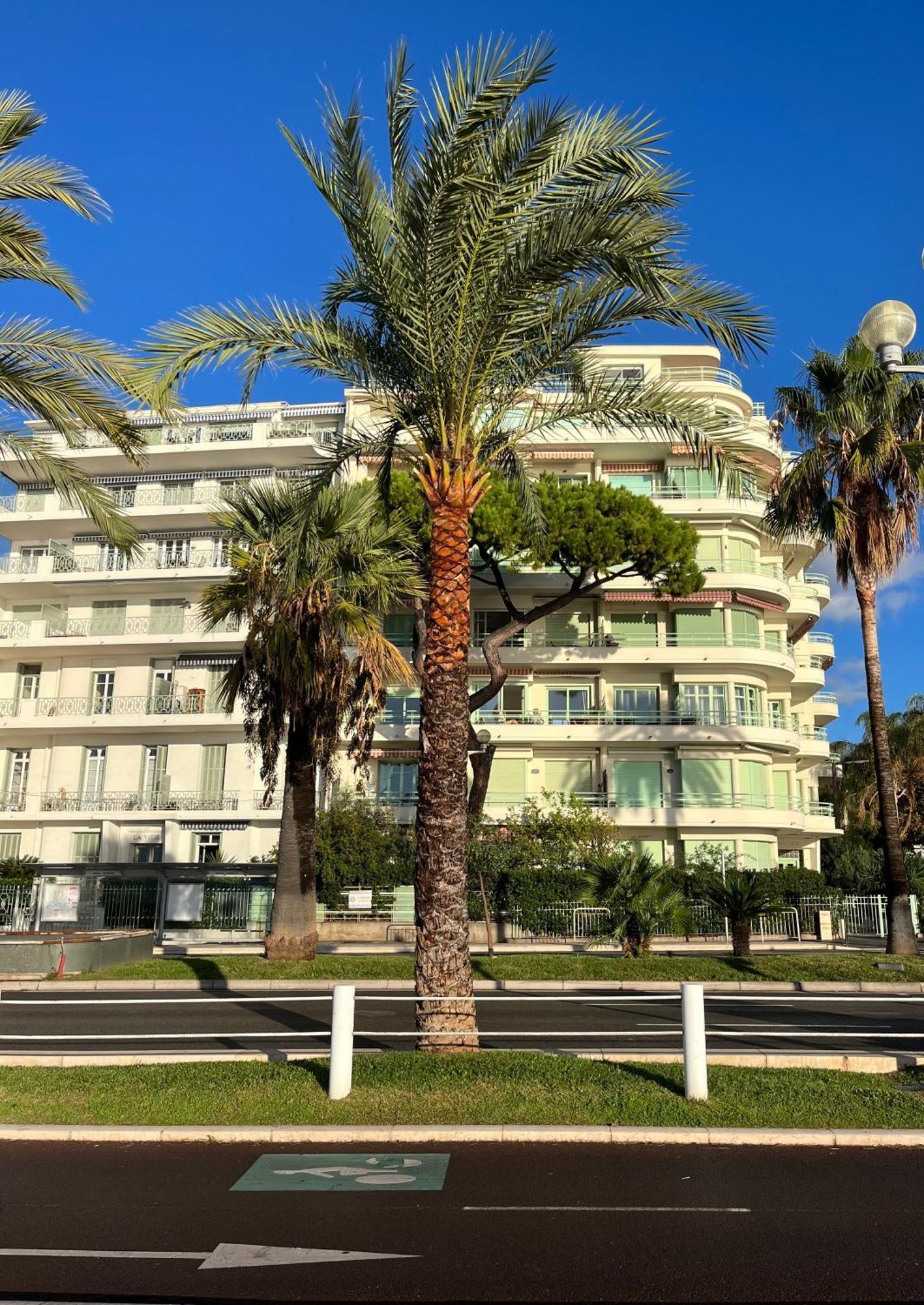 Nice 115 By The Sea Екстериор снимка